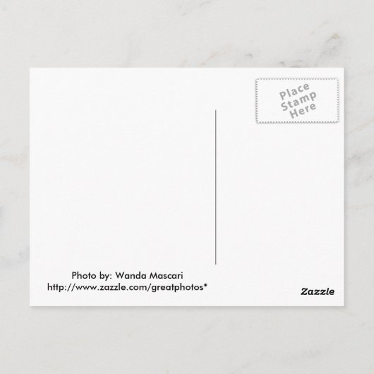 Carte Postale Lotus 1 (Dos)