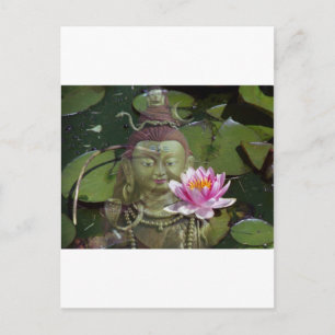Carte Postale Lotus 1 & Bouddha