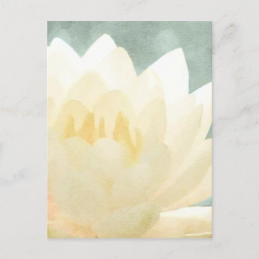 Carte Postale Lotus blanc (Devant)