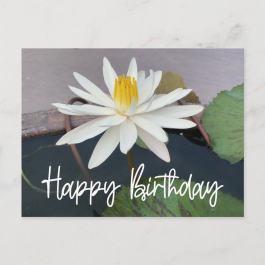 Carte Postale Lotus blanc dans l'étang Joyeux anniversaire (Devant)