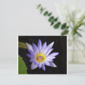 Carte Postale lotus bleu du Nil (Debout devant)