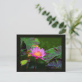 Carte Postale Lotus Bloom (Debout devant)