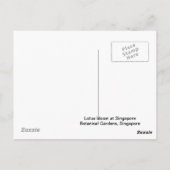 Carte Postale Lotus Bloom (Dos)