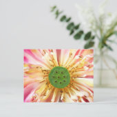 Carte Postale Lotus Bloom (Debout devant)