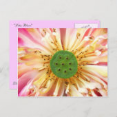 Carte Postale Lotus Bloom (Devant / Derrière)