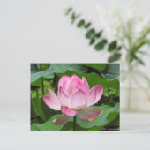Carte Postale Lotus Bloom rose (Debout devant)