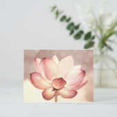 Carte Postale Lotus Blossom Rose (Debout devant)