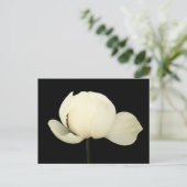 Carte Postale Lotus Bud (Debout devant)