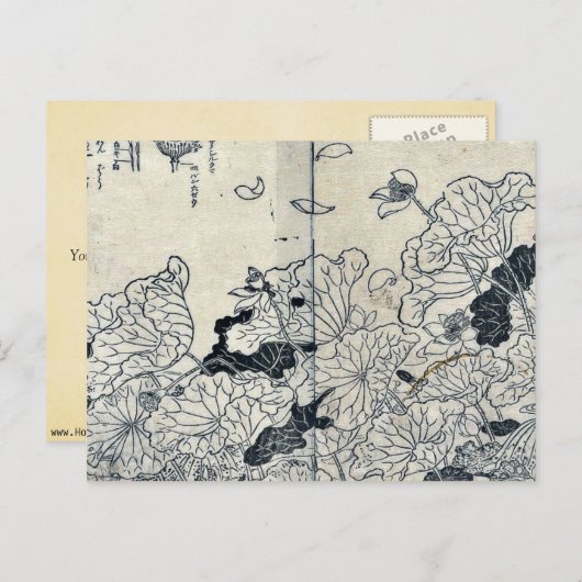 Carte Postale Lotus dans le vent par Tachibana,Yasukuni (Devant / Derrière)