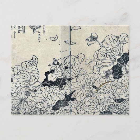 Carte Postale Lotus dans le vent par Tachibana,Yasukuni (Devant)