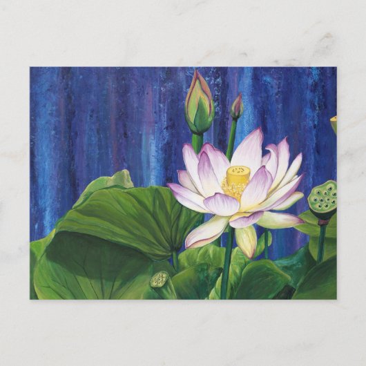 Carte postale Lotus Dream (Devant)
