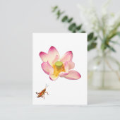 Carte Postale Lotus et Grasshopper (Debout devant)