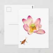 Carte Postale Lotus et Grasshopper (Devant / Derrière)