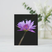 Carte Postale Lotus et Libellule (Debout devant)