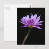 Carte Postale Lotus et Libellule (Devant / Derrière)