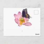 Carte Postale Lotus et papillon (Dos)