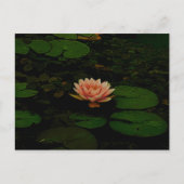 Carte Postale Lotus Fleur Orange Vert foncé Étang Floral Zen (Devant)