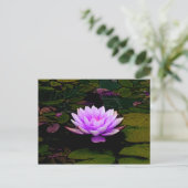 Carte Postale Lotus Fleur Rose Vert Floral Pond Zen (Debout devant)