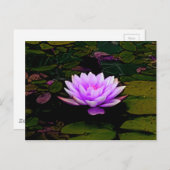 Carte Postale Lotus Fleur Rose Vert Floral Pond Zen (Devant / Derrière)