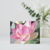 Carte postale Lotus Flower (Debout devant)