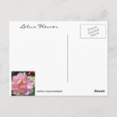 Carte postale Lotus Flower (Dos)