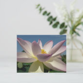 Carte Postale Lotus Flower et Blue Sky I (Debout devant)