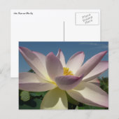 Carte Postale Lotus Flower et Blue Sky I (Devant / Derrière)