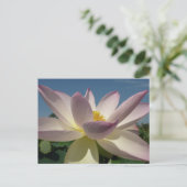Carte Postale Lotus Flower et Blue Sky I (Debout devant)
