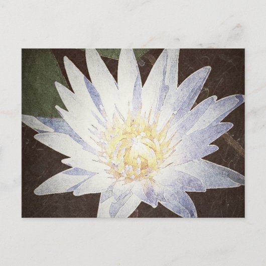 CARTE POSTALE "LOTUS PEINTS" (Devant)