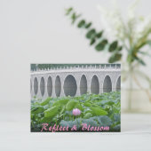 Carte Postale Lotus Pond Reflecting Bridge Arches (Debout devant)