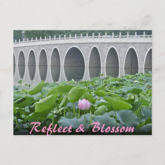 Carte Postale Lotus Pond Reflecting Bridge Arches (Devant)
