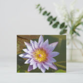 Carte Postale Lotus pourpre/Lily d'eau (Debout devant)