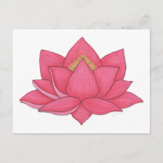 Carte Postale Lotus rose (Devant)