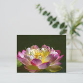 Carte postale Lotus rose (Debout devant)