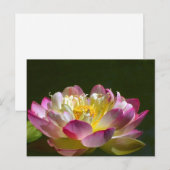 Carte postale Lotus rose (Devant / Derrière)