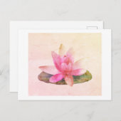 CARTE POSTALE : LOTUS ROSE (Devant / Derrière)