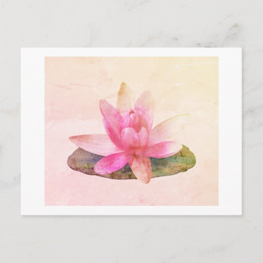 CARTE POSTALE : LOTUS ROSE (Devant)