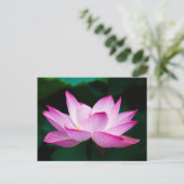 Carte Postale Lotus rose (Debout devant)