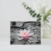 Carte Postale Lotus rose (Debout devant)