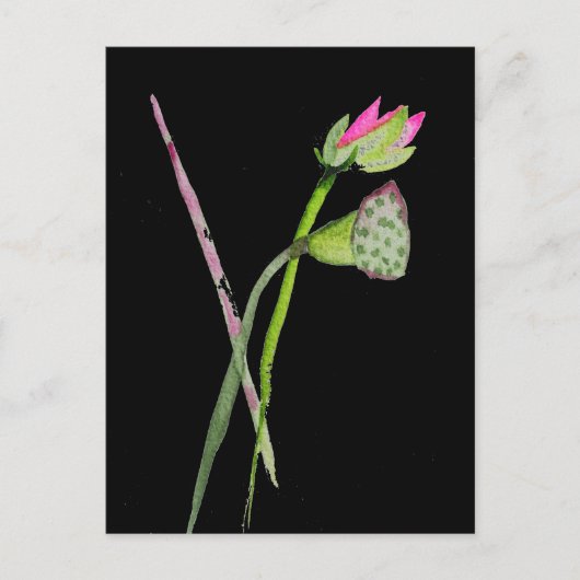 Carte Postale Lotus rose Fleur Zen Art bouddhiste (Devant)
