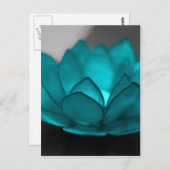 Carte Postale Lotus turquoise (Devant / Derrière)