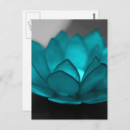 Carte Postale Lotus turquoise (Devant / Derrière)