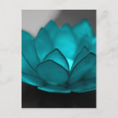 Carte Postale Lotus turquoise (Devant)