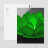 Carte Postale Lotus vert (Devant / Derrière)