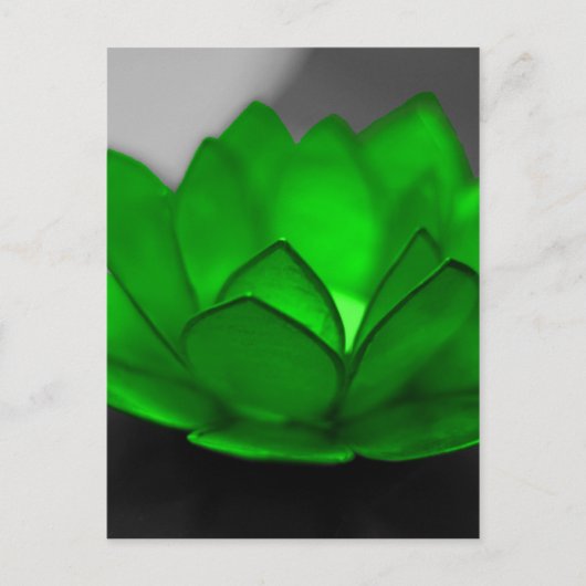 Carte Postale Lotus vert (Devant)