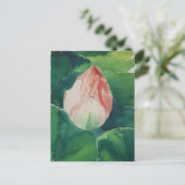 Carte postale Lotus Watercolor (Debout devant)