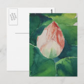 Carte postale Lotus Watercolor (Devant / Derrière)