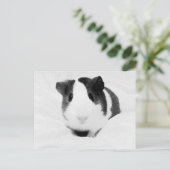 Carte Postale louche (Debout devant)