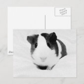 Carte Postale louche (Devant / Derrière)