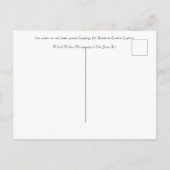 Carte Postale Loughrigg Fell Ambleside (Dos)